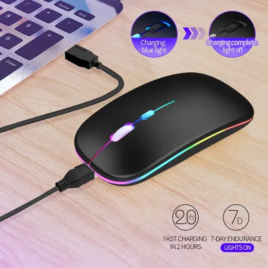 Vinmooog Souris sans Fil Rechargeable Souris Bluetooth Ergonomique,Souris Gamer Ordinateur 3DPI silencieuse rétroéclairée de 7Couleurs avec récepteur USB 2,4 GHz (Noir)