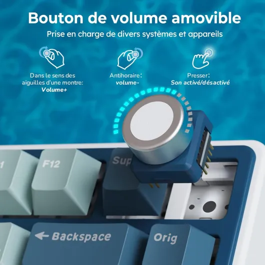 71q2byztQYL._AC_SL1500_